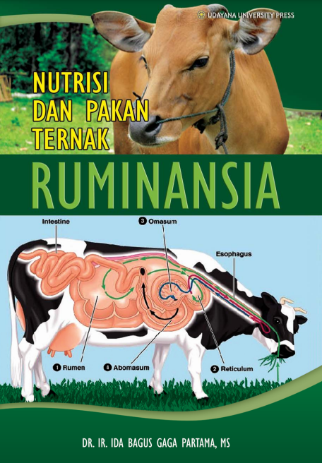 NUTRISI DAN PAKAN TERNAK RUMINANSIA